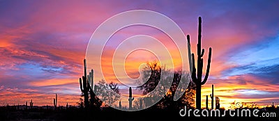 Sunset in desert. Stock Photo