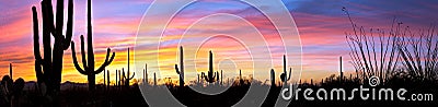 Sunset in desert. Stock Photo