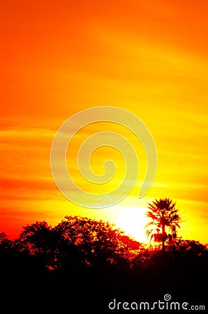 Sunset in Esteros Del Ibera, Argentina Stock Photo