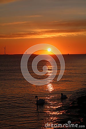 Sunset at Europort Stock Photo
