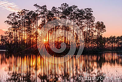 Sunset in the Everglades Stock Photo