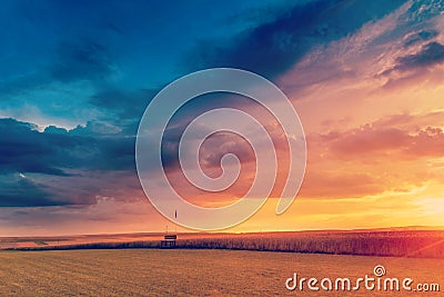 Sunset in fields in summer Stock Photo
