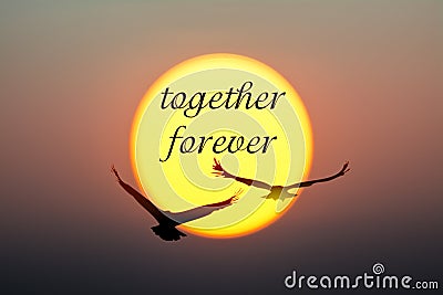 Sunset and Birds with together forever text Stock Photo