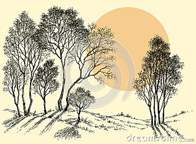 Sunset in the forest Vector Illustration