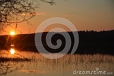 Sunset on the forest coast Stock Photo