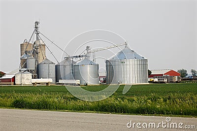 Sunset on Grain Farm Editorial Stock Photo