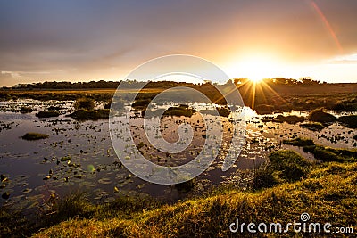 iSimangaliso Wetland Park Stock Photo