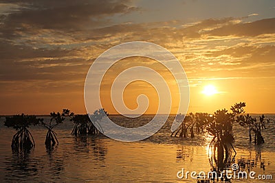 Sunset Stock Photo