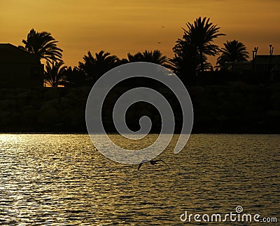 The sunset on the island of Tabarca, on a winter sunset Stock Photo