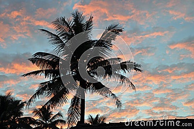 Sunset in Kerala Stock Photo