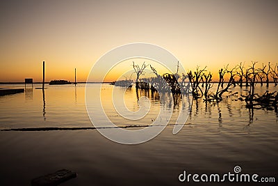 Sunset on Lake Epecuen. Dead trees submerged in salt water. Flooded city in Argentina Stock Photo