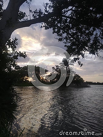 Sunset lake florida tree nature reflection Stock Photo