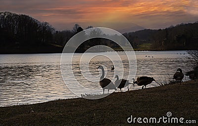 Sunset on Lake Junaluska in Waynesville, North Carolina Stock Photo