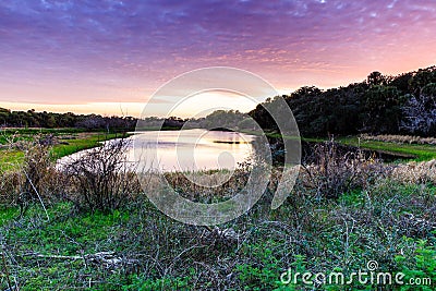 Sunset Lake at Myakka River State Park Stock Photo