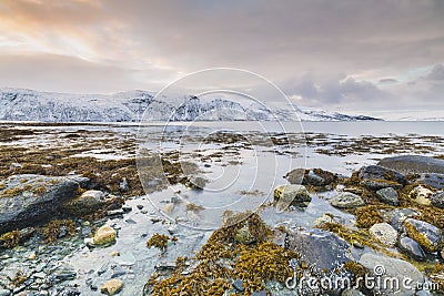 Sunset at the lakeside with rocks of a fjord during low tide in Stock Photo