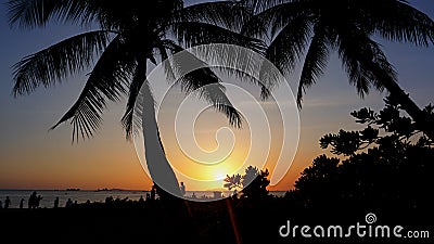 Sunset landscape. beach sunset. palm trees silhouette on sunset tropical beach Stock Photo