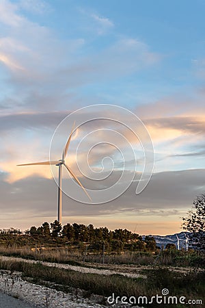 Sunset of landscape with group of windmills Stock Photo