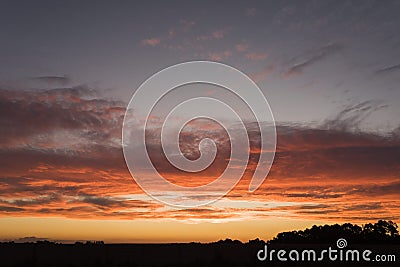 Sunset landscape, silhouettes of trees against an orange intense bright sky Stock Photo