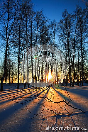 Sunset through leafless trees in winter Stock Photo