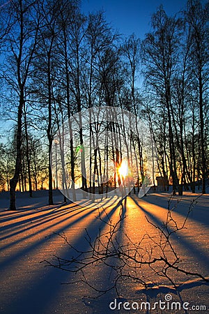 Sunset through leafless trees in winter Stock Photo