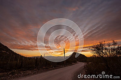 Sunset Light Swirls Out Over Saguaro and Mountains Stock Photo