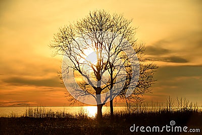 Sunset observing over baltic sea Stock Photo