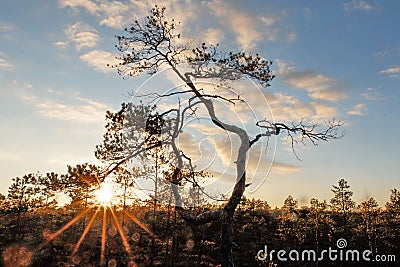 Sunset observingn over sea in Latvia Stock Photo