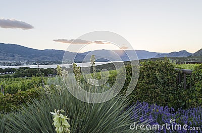 Sunset in the Okanagan Valley Stock Photo