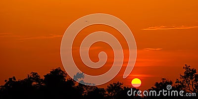 Sunset with orange shad Golden sky, Stock Photo