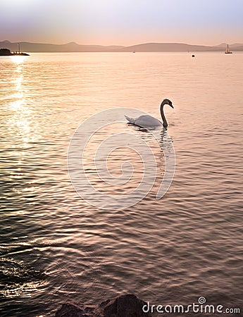 Sunset over Balaton Lake Stock Photo