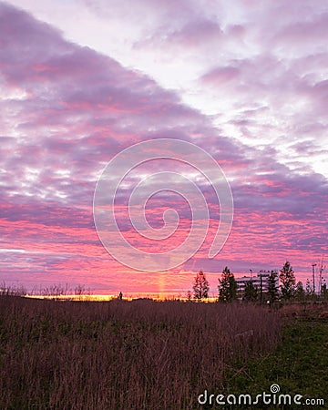 Sunset over the city. Fiery sunset. The sky is red. Stock Photo