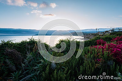 Sunset over cliffs carpeted with wildflowers above the California coastline Stock Photo