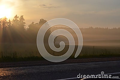 Sunset over crowns trees in the field. Stock Photo