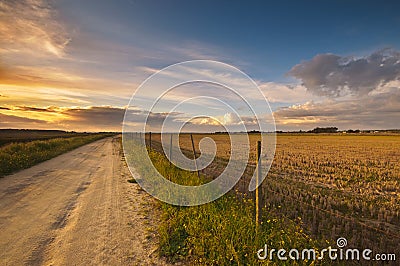 Sunset over dry ricefield Stock Photo