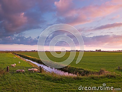 Sunset over Farmland in the Netherlands Stock Photo