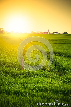 Sunset over field Stock Photo