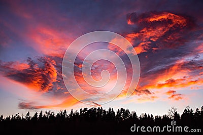 Sunset over forest with dramatic sky Stock Photo