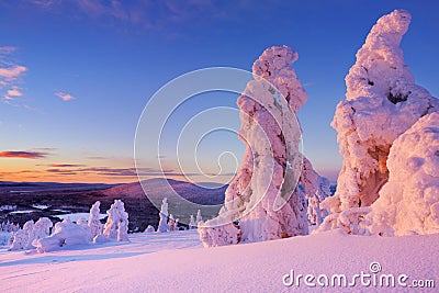 Sunset over frozen trees on a mountain, Finnish Lapland Stock Photo