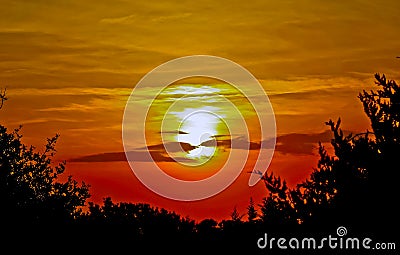 Sunset over the Goose Creek Forest Stock Photo