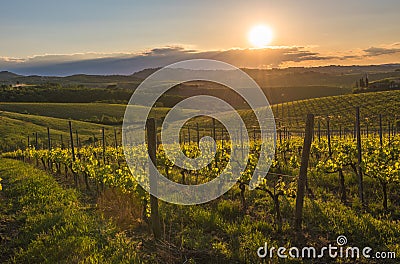 Sunset over the hills of Tuscany, Italy Stock Photo