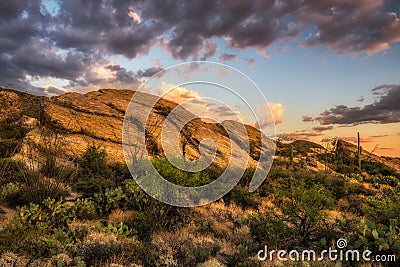 Sunset over Javelina Rocks in Saguaro National Park, Arizona Stock Photo