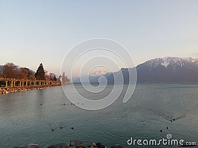 Sunset over lake geneva and dents du midi / Switzerland Stock Photo