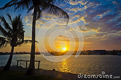 Sunset over marina with palmtree Stock Photo