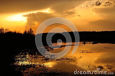 Sunset over the marshy lake Stock Photo