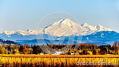 Sunset over Mount Baker, a dormant volcano in Washington State Stock Photo