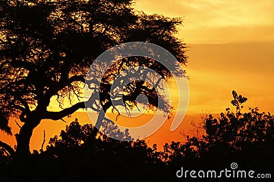 Sunset over the Okovango Delta Stock Photo