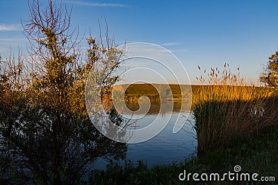 Sunset over a plain lake. The shore of the lake is grown with reeds and sparse trees Stock Photo