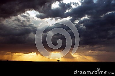 Sunset over Serengeti Stock Photo