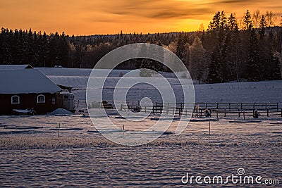 Sunset over a snowy and cold varmland, Sweden Stock Photo