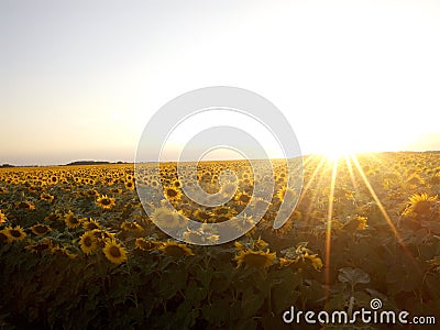 Sunset over Stock Photo